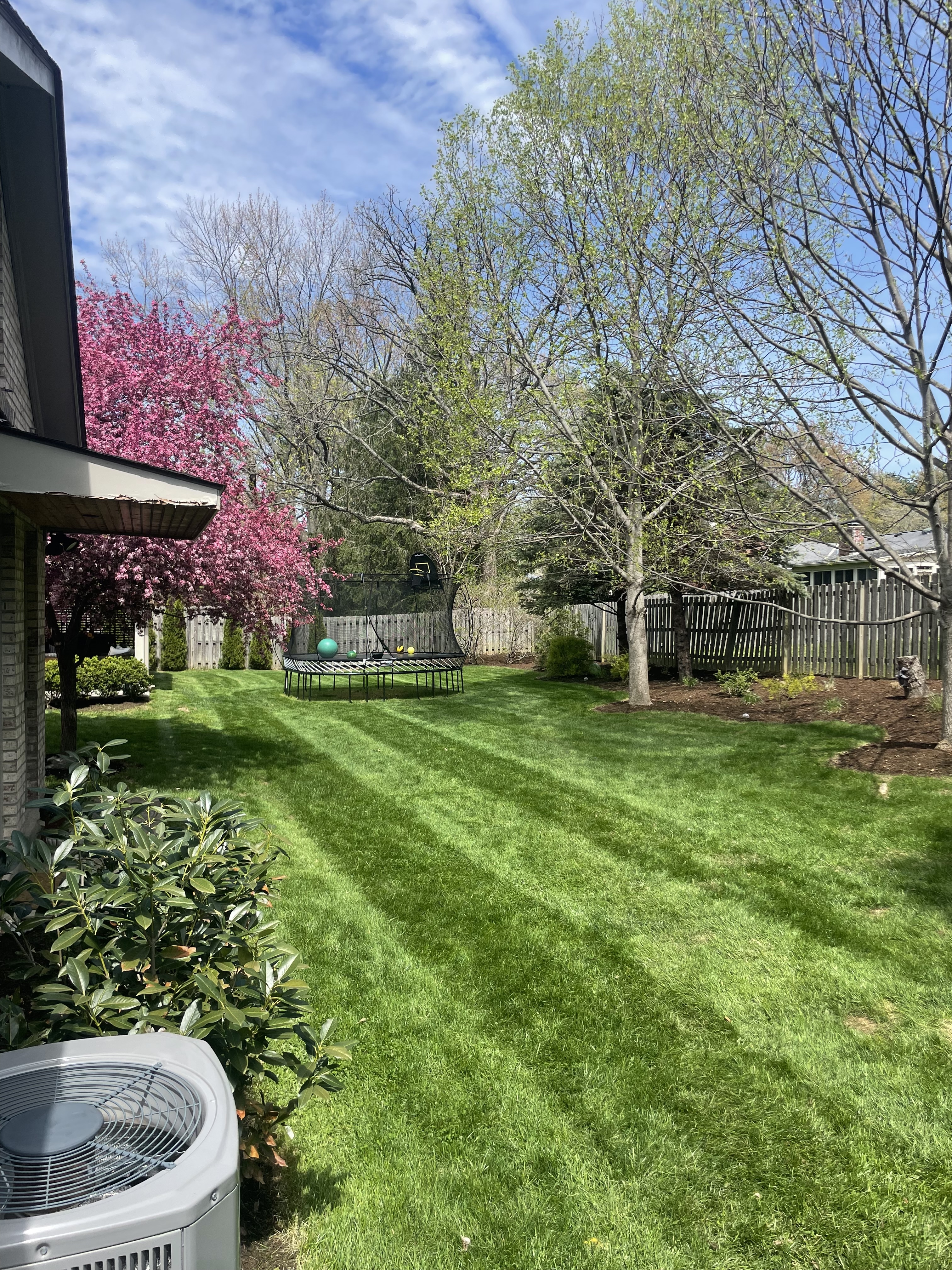 Professional Lawn Care