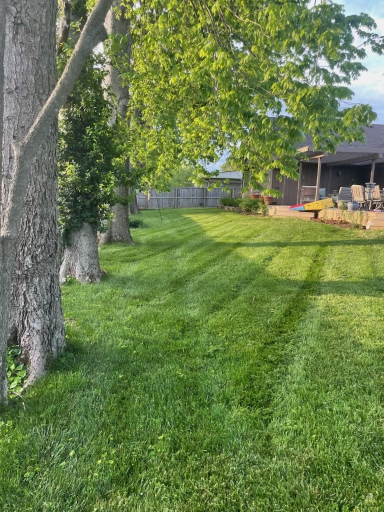 Lawn Maintenance